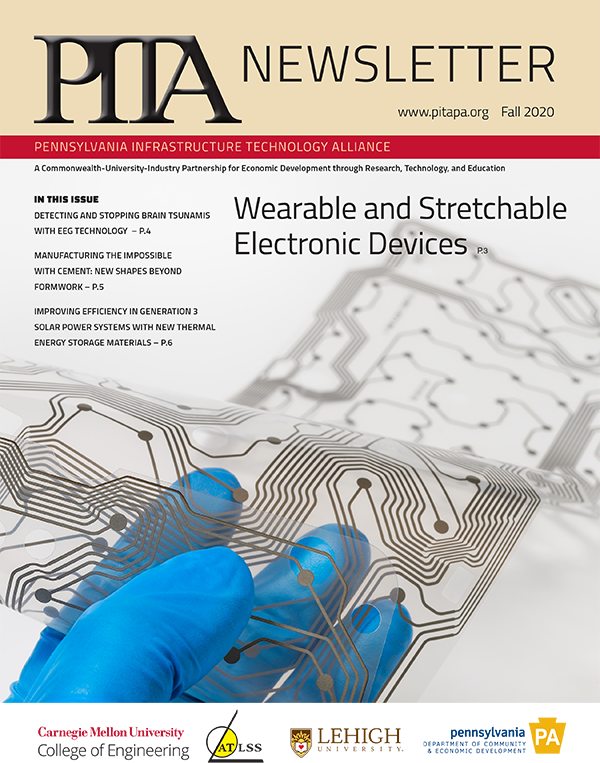 PITA Newsletter: Fall 2020 issue cover